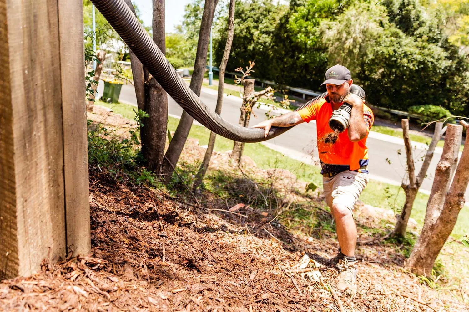 Operator dragging the mulch hose across a freshly mulched bed